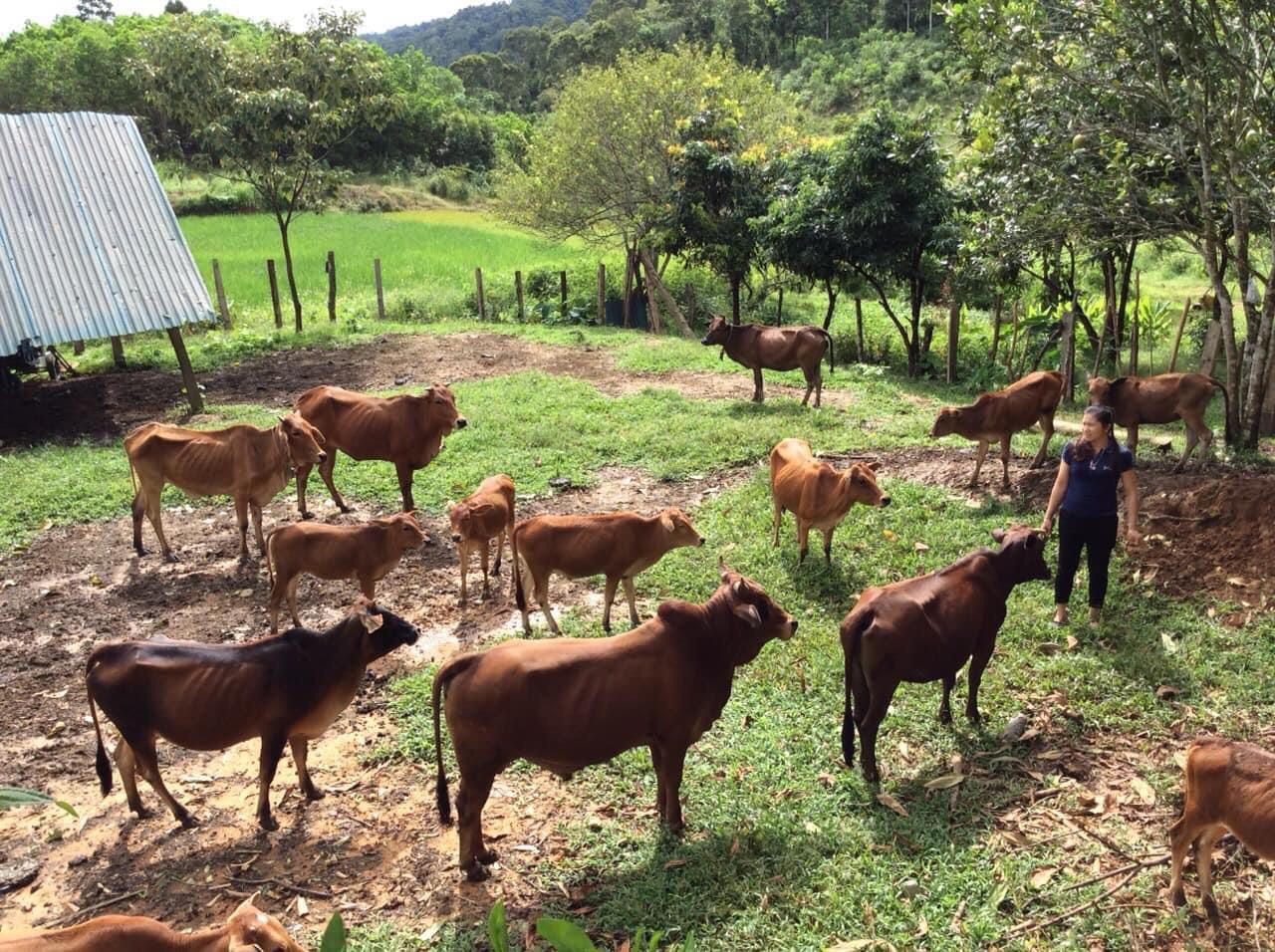 Lưu thông vốn chính sách giữa đại dịch COVID-19