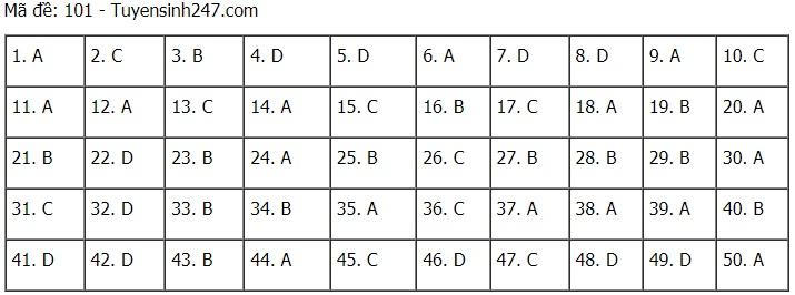 Cập nhật đề thi và đáp án môn Toán tốt nghiệp THPT năm 2021