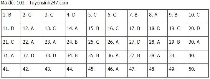 Cập nhật đề thi và đáp án môn Toán tốt nghiệp THPT năm 2021