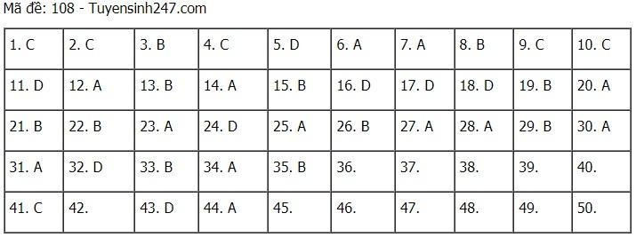 Cập nhật đề thi và đáp án môn Toán tốt nghiệp THPT năm 2021