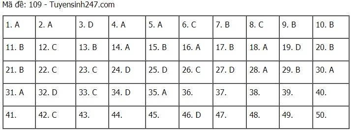 Cập nhật đề thi và đáp án môn Toán tốt nghiệp THPT năm 2021