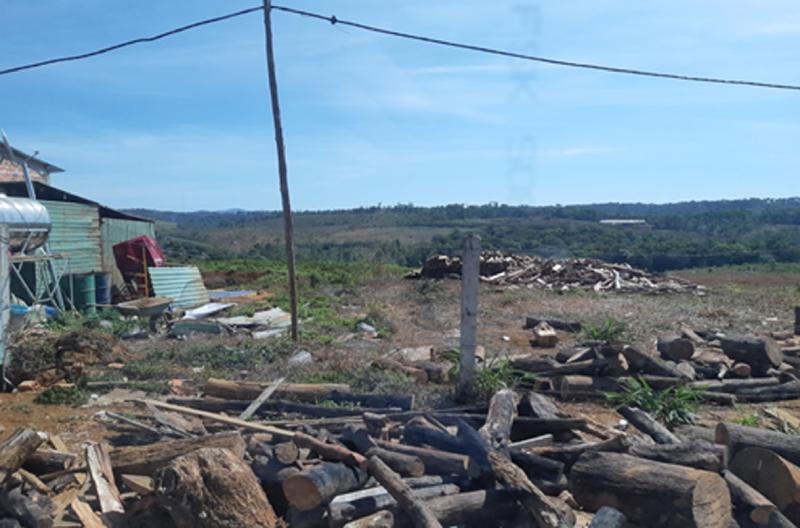 Kon Plông (Kon Tum): Nhiều dự án đầu tư chậm trễ, chưa hiệu quả