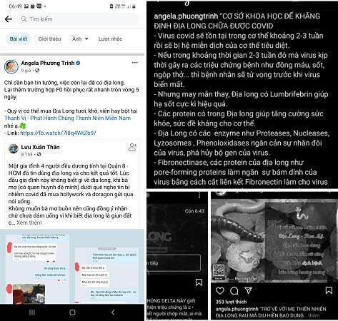 Lời đồn nhảm 'giun đất chữa trị COVID-19'