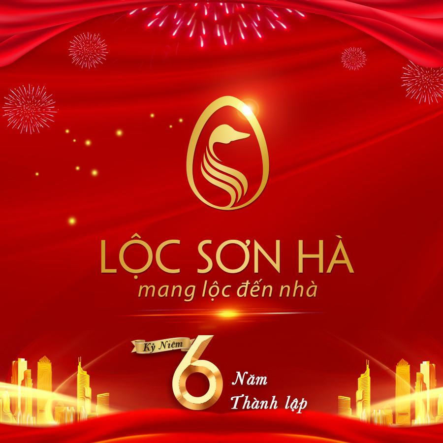 Hành trình 6 năm phụng sự để dẫn đầu của Lộc Sơn Hà Land