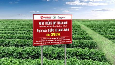 Cảnh báo: Tăng nguy cơ tử vong ở người không kiểm soát tốt đường huyết trong giai đoạn dịch