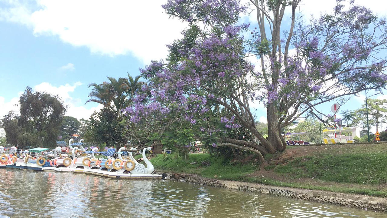Những trăn trở của du lịch Lâm Đồng