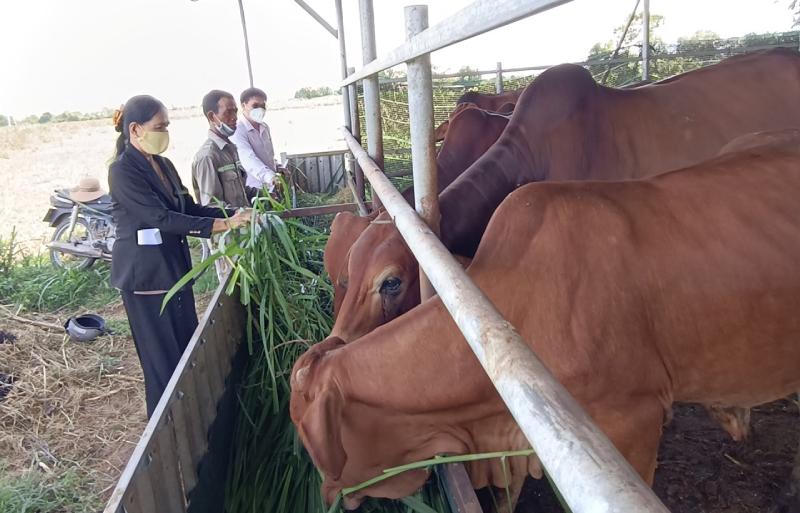 Chuyển động mới ở Ninh Thuận từ nguồn vốn chính sách