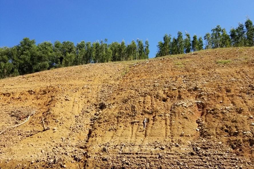 Rừng trồng thay thế tại các dự án thủy điện Thừa Thiên - Huế: 267 ha, chỉ 28 ha có… cây xanh