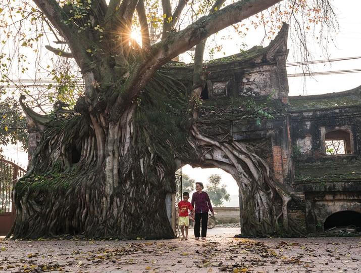 [Truyện ngắn] Thăm thẳm đêm
