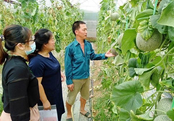 Tín dụng chính sách giúp bà con vùng cao Bắc Kạn vượt nghèo