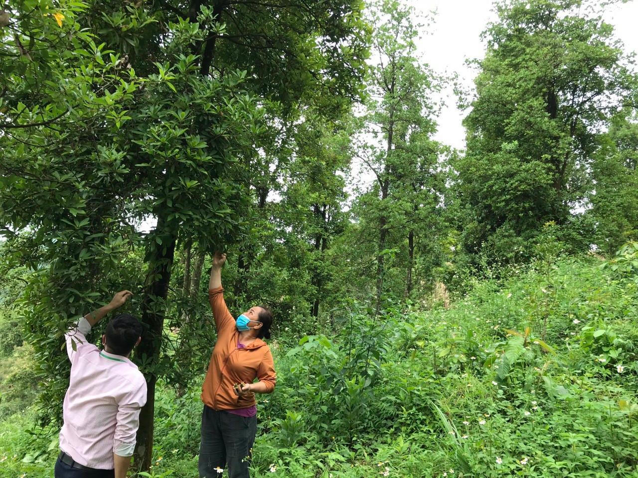 Tín dụng chính sách giúp bà con vùng cao Bắc Kạn vượt nghèo