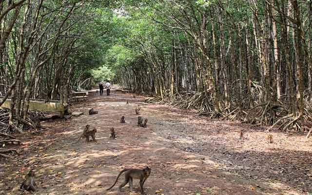 Niềm vui nới lỏng du lịch ở "vùng xanh"