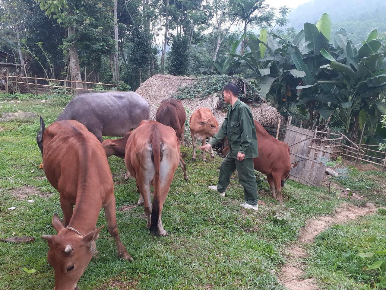 Những “cánh tay nối dài” đưa vốn chính sách tới vùng biên xứ Nghệ
