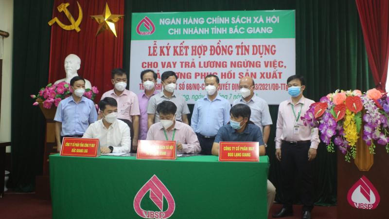 Tín dụng chính sách tiếp sức miền trung du Bắc Giang khôi phục, phát triển sản xuất