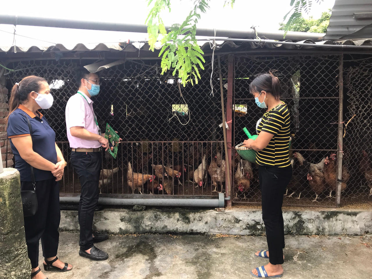 Tín dụng chính sách tiếp sức miền trung du Bắc Giang khôi phục, phát triển sản xuất