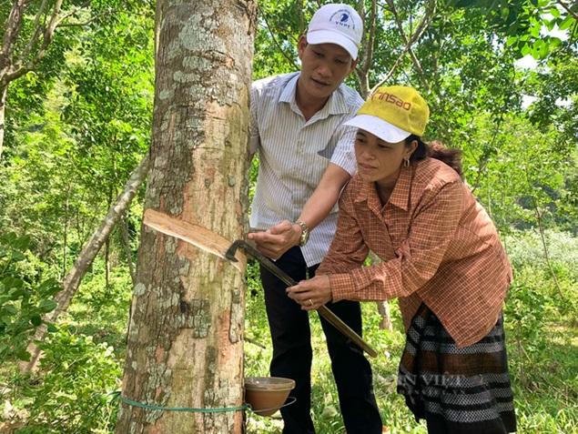 Chặng đường 19 năm giúp người dân xóa nghèo của NHCSXH Quảng Bình