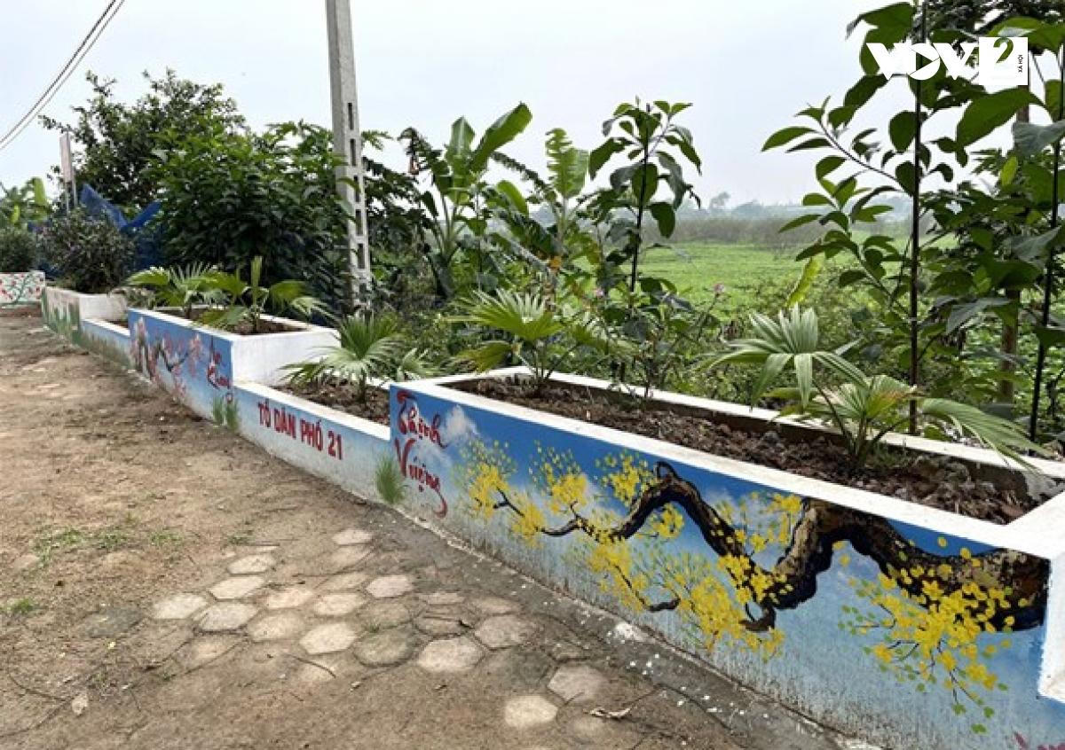 Người phụ nữ dọn “núi” rác, làm đường hoa