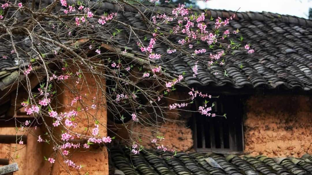 [Truyện ngắn] Sóng hồ trên núi