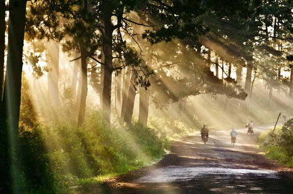 “Thành phố buồn, nhớ không em”?...