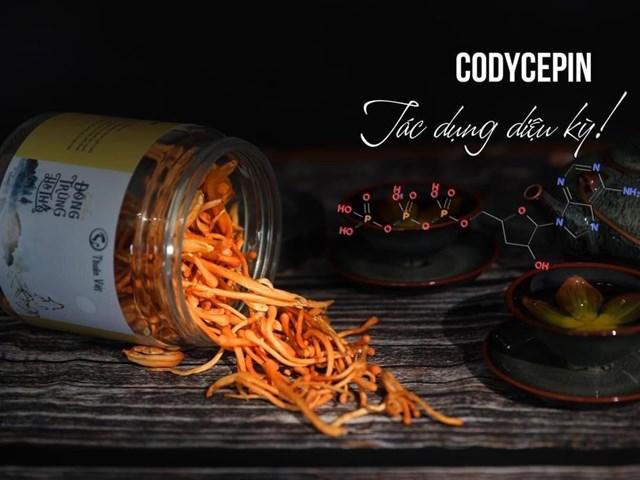 Nấm Thuần Việt: Bí quyết vàng khơi nguồn sức khỏe