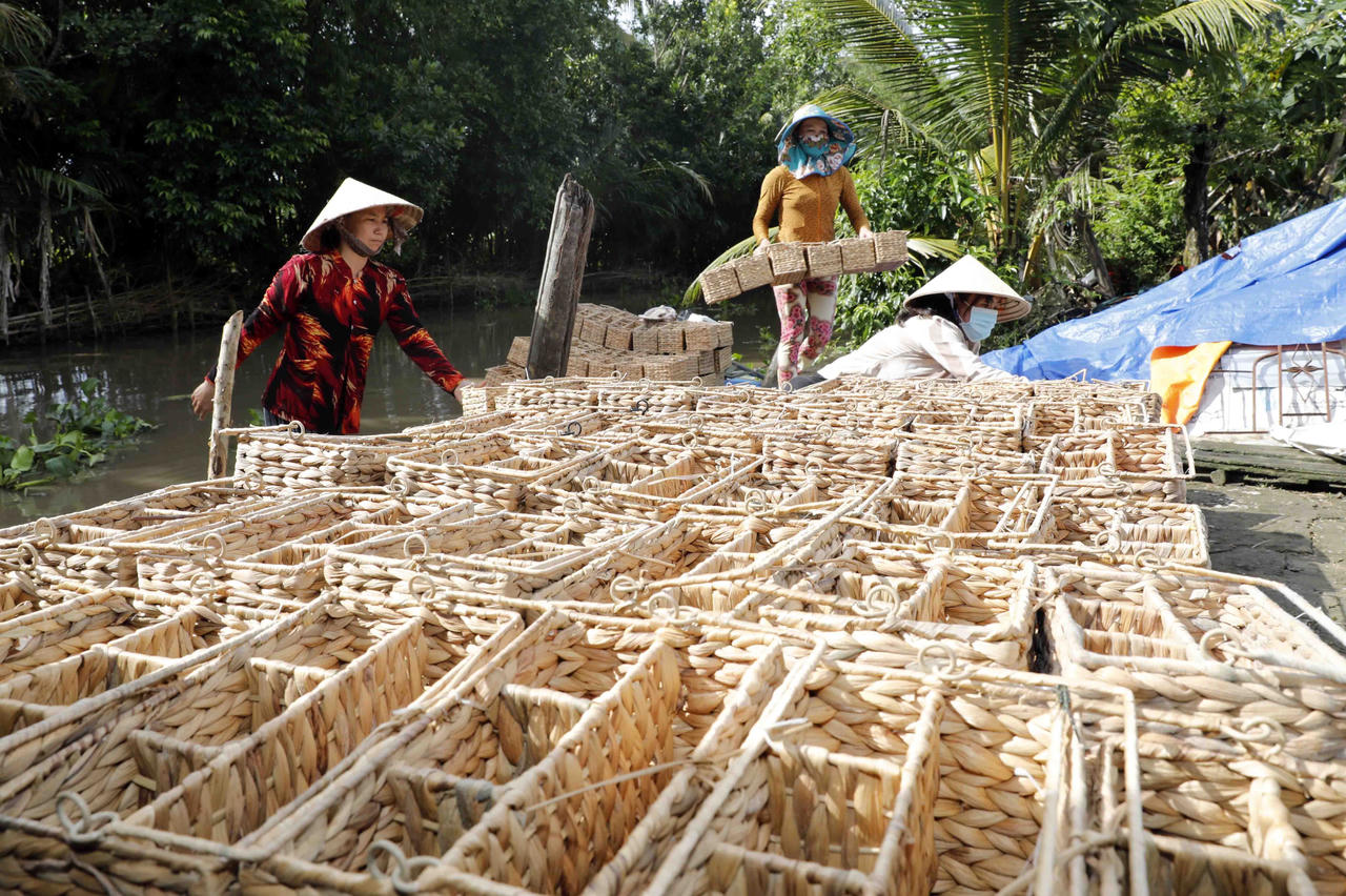 Tín dụng chính sách góp phần đưa Kiên Giang khởi sắc toàn diện