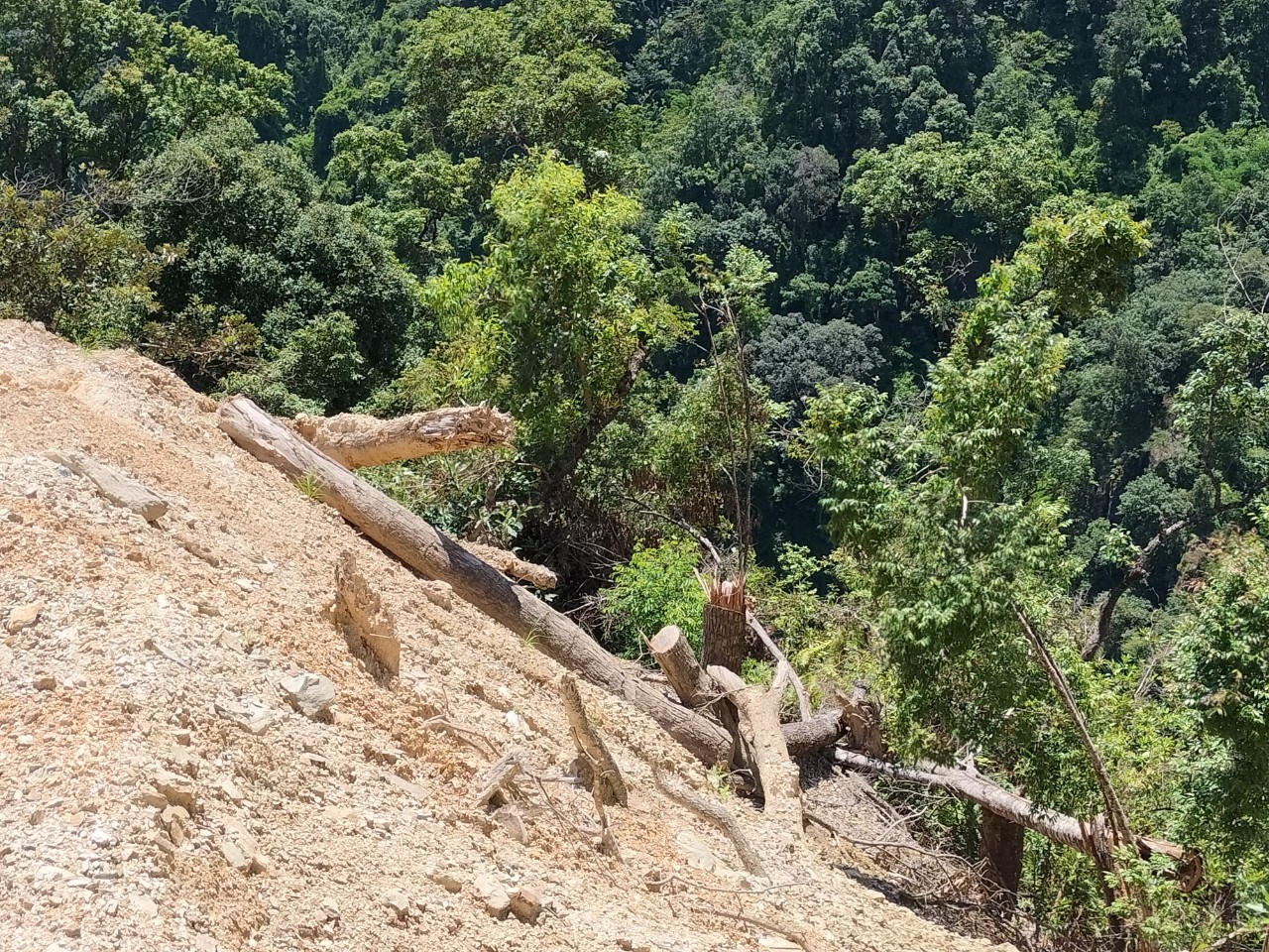 Bài 1: Dấu hiệu xâm hại rừng của thủy điện Phìn Hồ 2