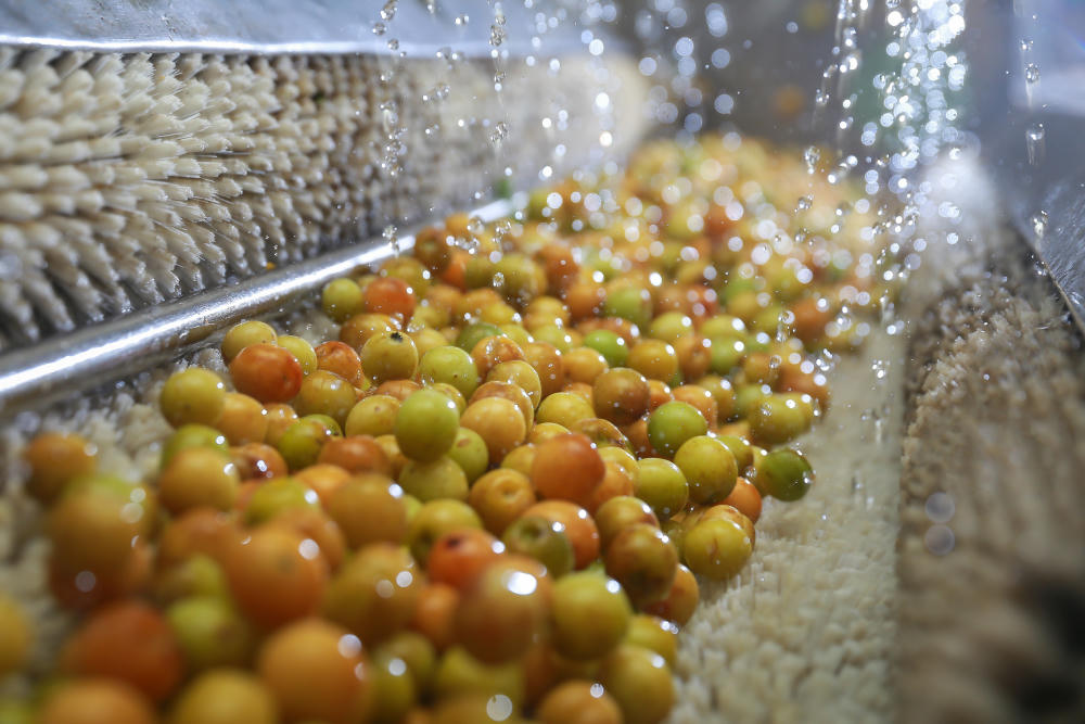 Kinh nghiệm nâng tầm thương hiệu hàng Việt từ Ô mai Hồng Lam