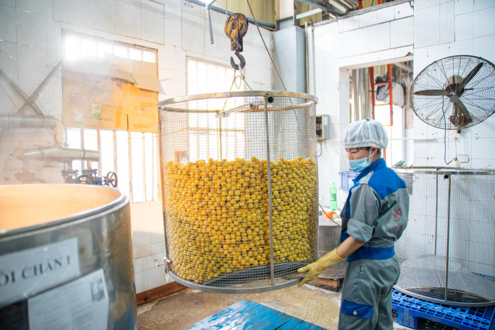 Kinh nghiệm nâng tầm thương hiệu hàng Việt từ Ô mai Hồng Lam