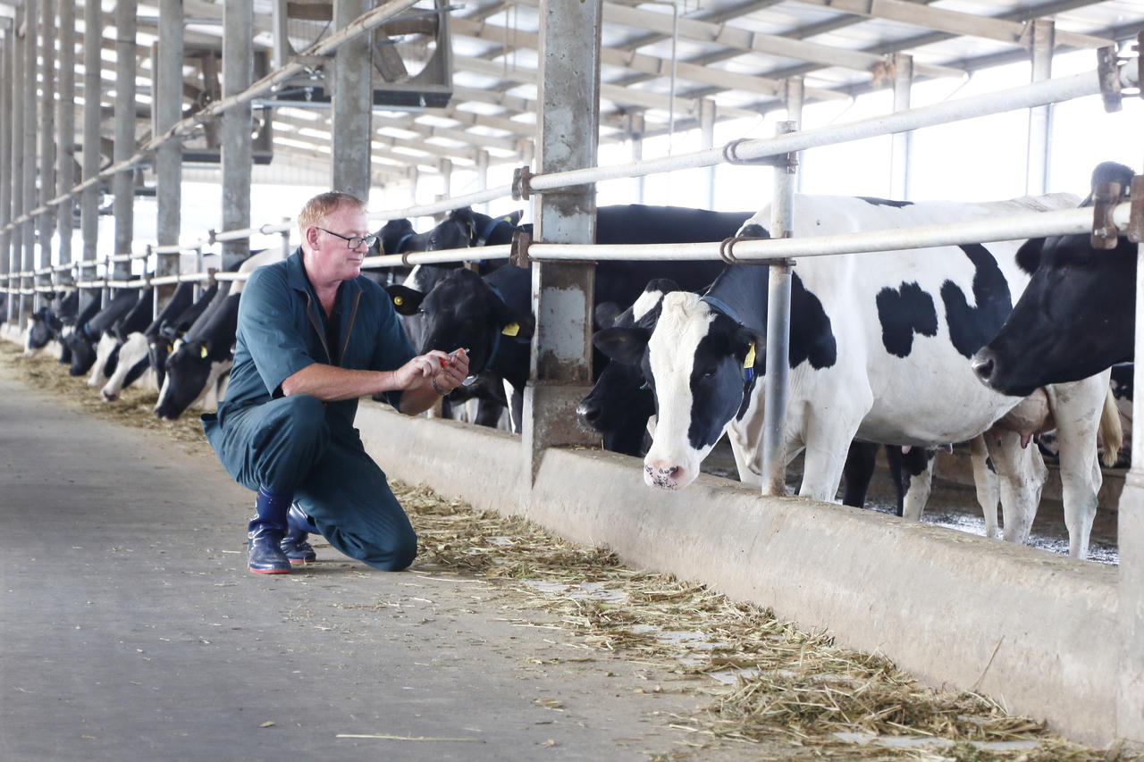 Quỹ DEG hoàn tất hợp tác tài trợ 17,5 triệu USD, Nova Consumer đẩy mạnh phát triển trang trại