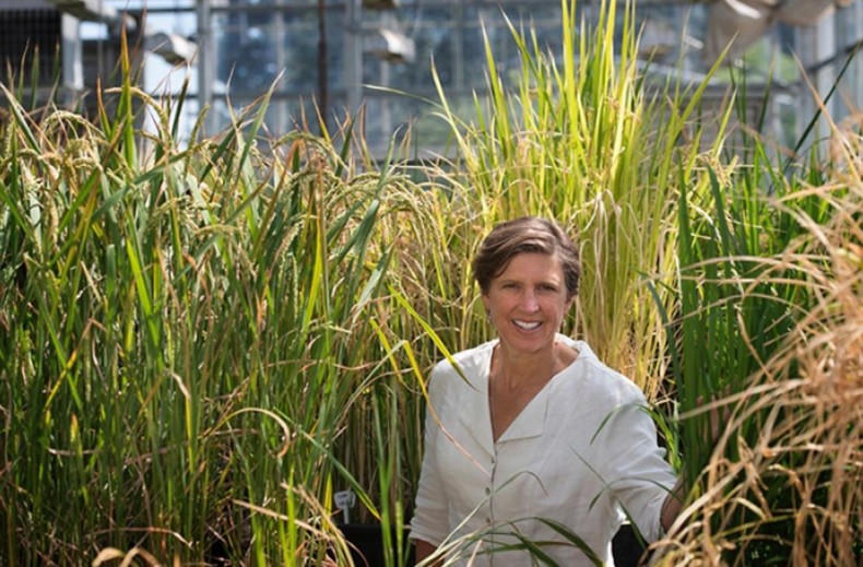 Các nhà khoa học tầm cỡ thế giới hội tụ tại Việt Nam trong Tuần lễ Khoa học Công nghệ VinFuture 2022