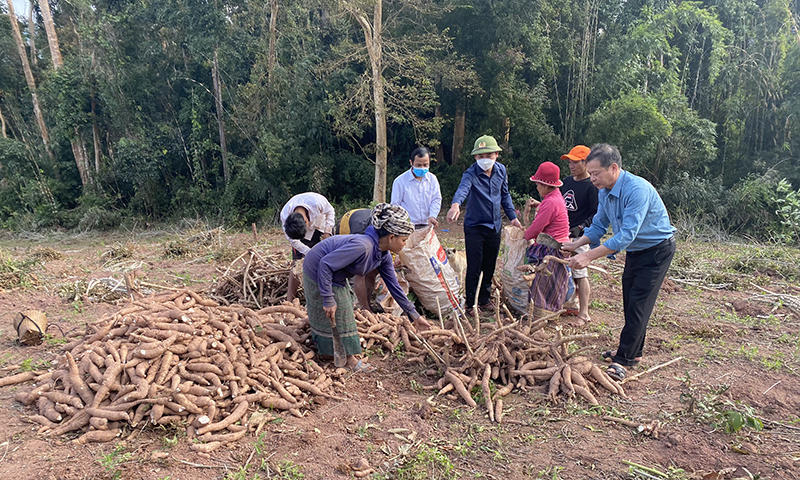 Chuyện thoát nghèo của bà con sống trong lòng di sản thiên nhiên thế giới