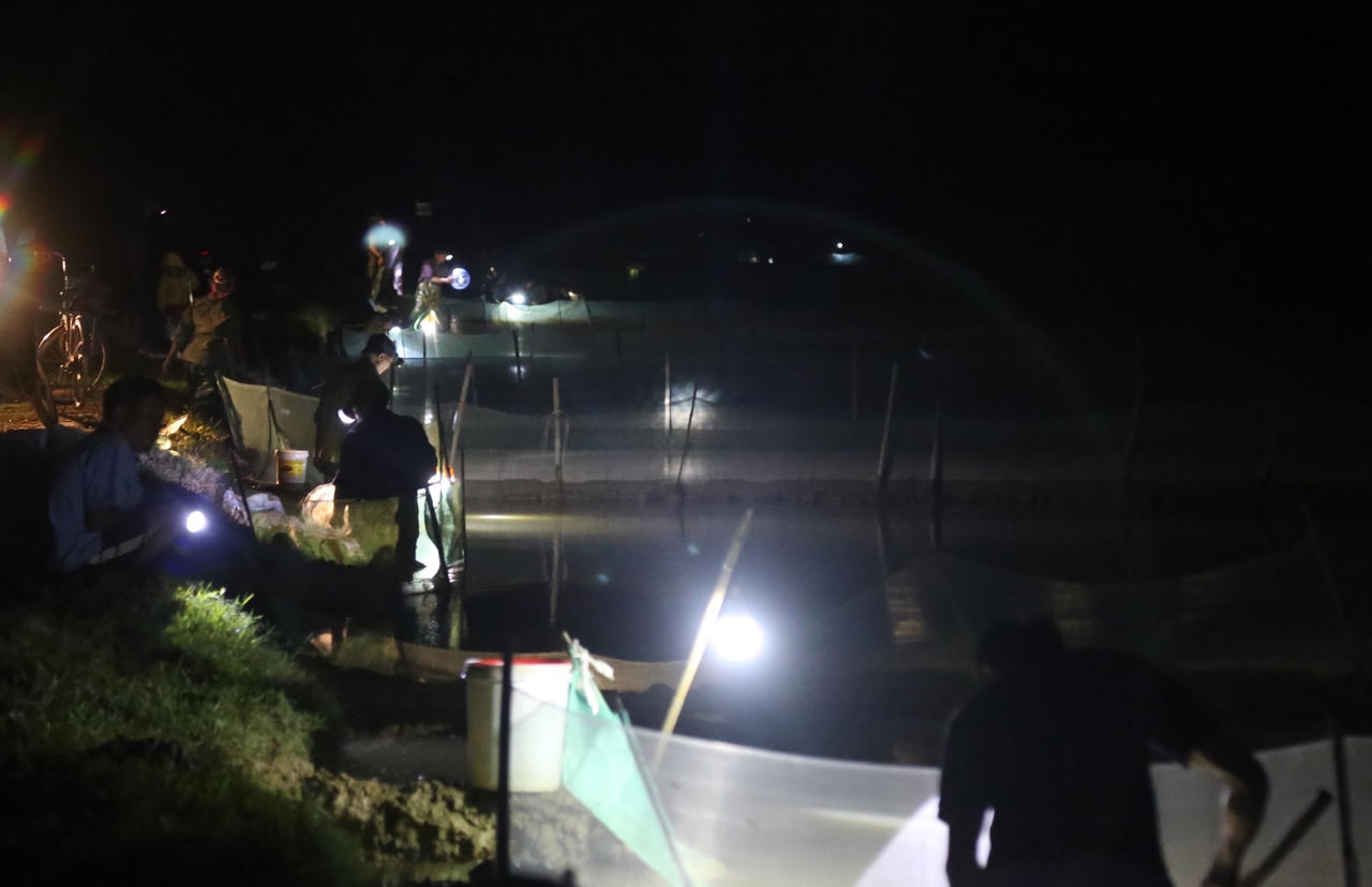 Nói không với thuốc bảo vệ thực vật để bảo vệ 'lộc trời'