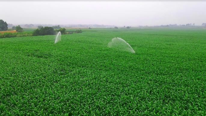 Vinamilk 7 năm liền vào top 10 doanh nghiệp bền vững Việt Nam