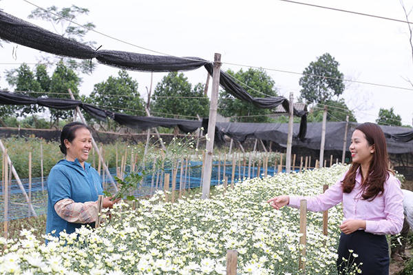 Chi nhánh NHCSXH TP Hà Nội nỗ lực hoàn thành “mục tiêu kép”