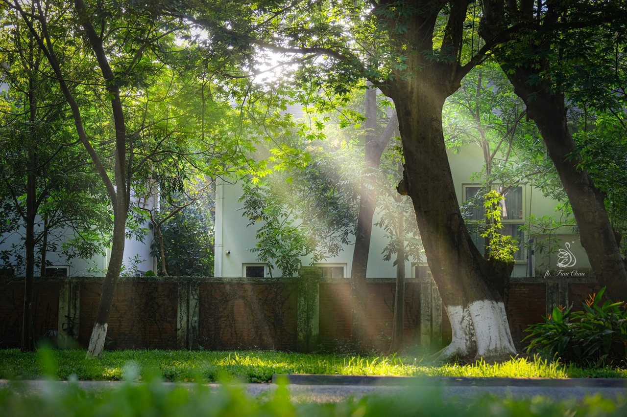 Ecopark - 'nơi có gió' chữa lành cho người trưởng thành và thiên nhiên hạnh phúc cho trẻ nhỏ