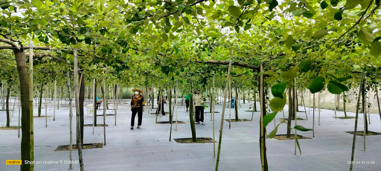 Mê mẩn sắc màu giải nhiệt mùa hè ở Thiên Cấm Sơn