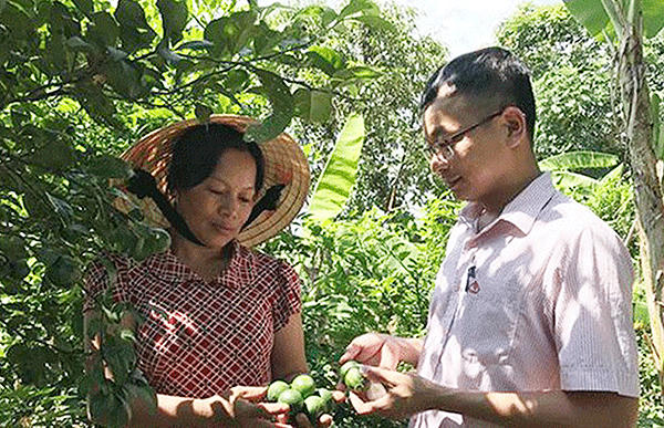 Tín dụng chính sách giúp Nam Đàn tiến đến nông thôn mới kiểu mẫu