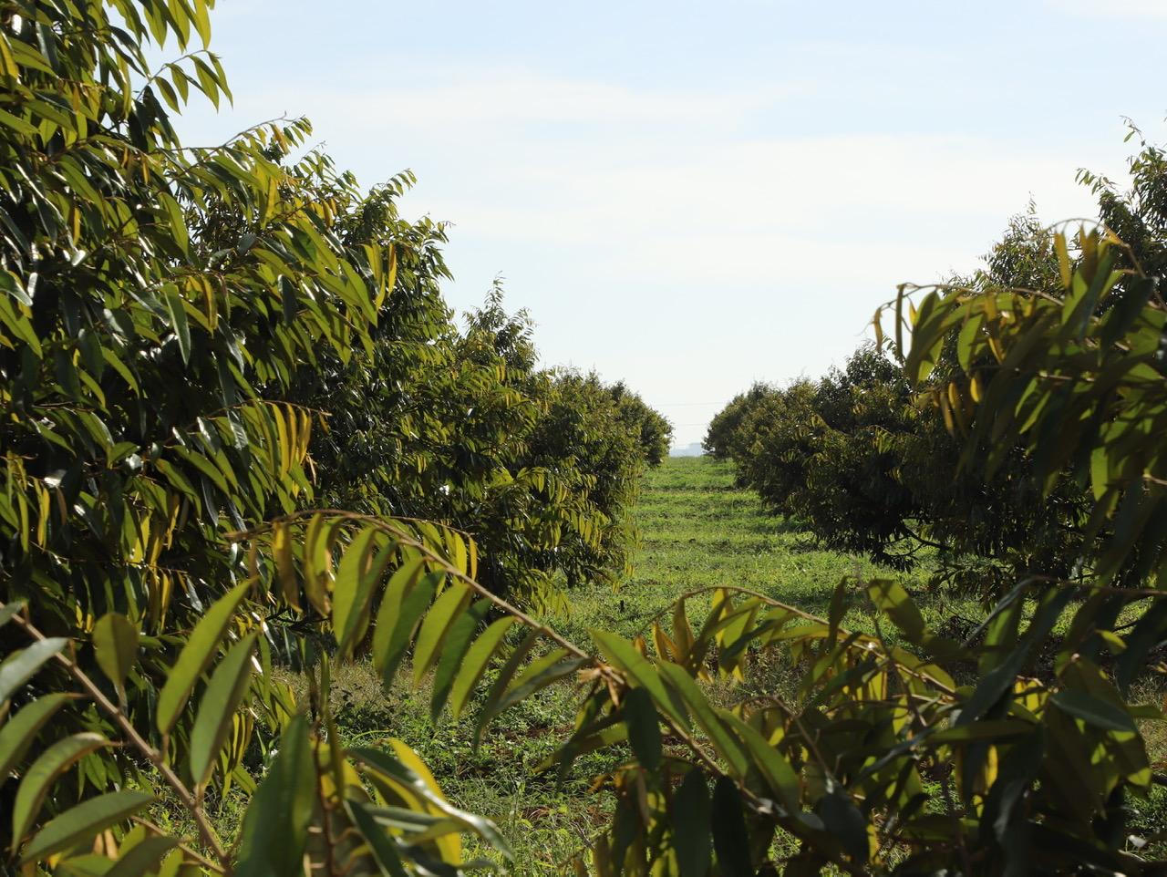 Lãnh đạo LPBank đi thăm các dự án đầu tư của Hoàng Anh Gia Lai