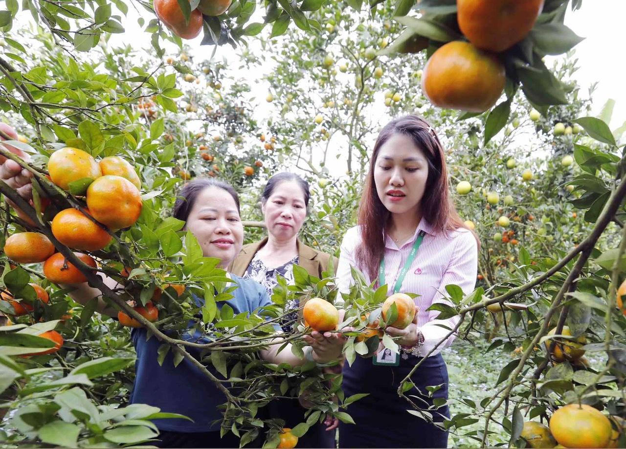 Những cán bộ tín dụng chính sách ở 'cửa ngõ' vùng Tây Bắc