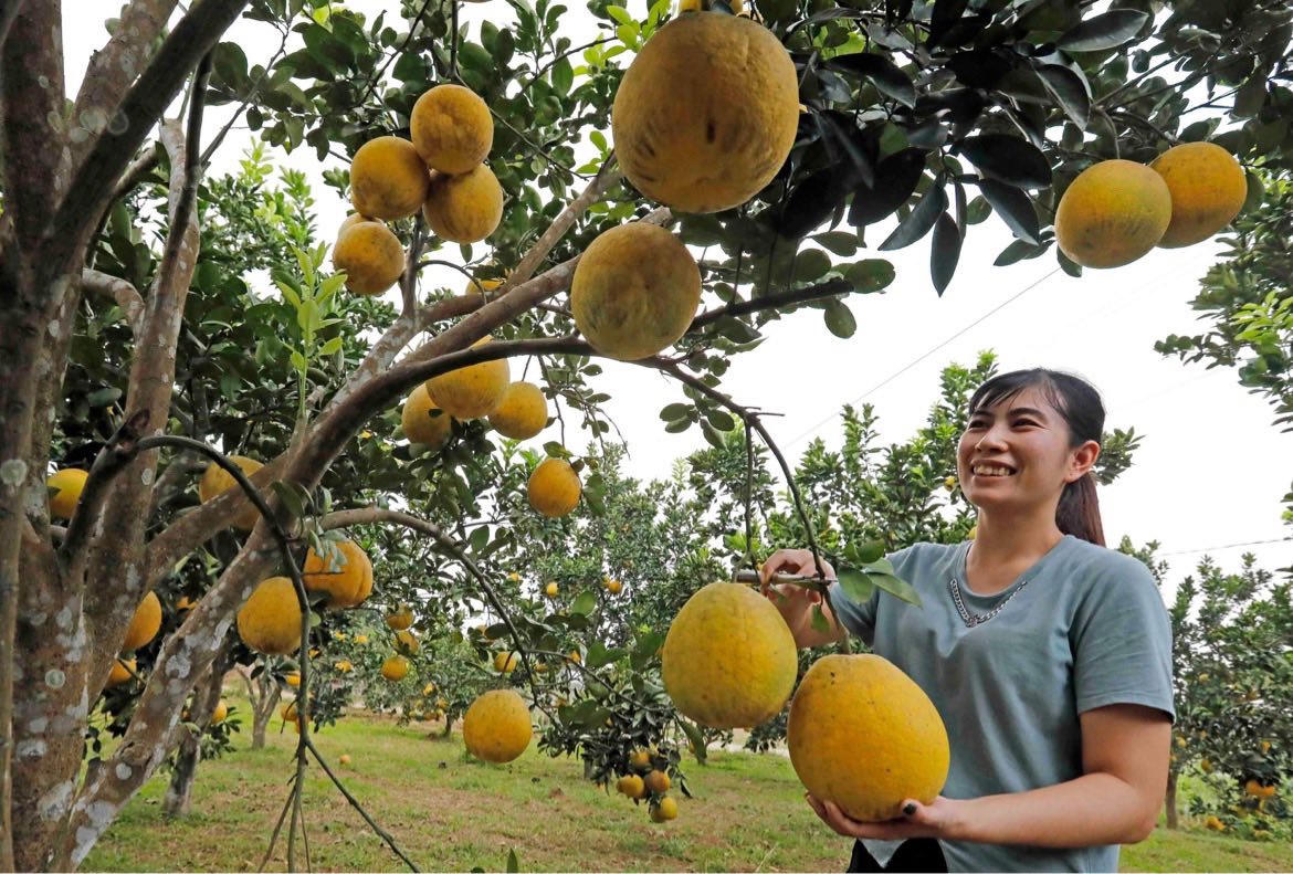 Những cán bộ tín dụng chính sách ở 'cửa ngõ' vùng Tây Bắc