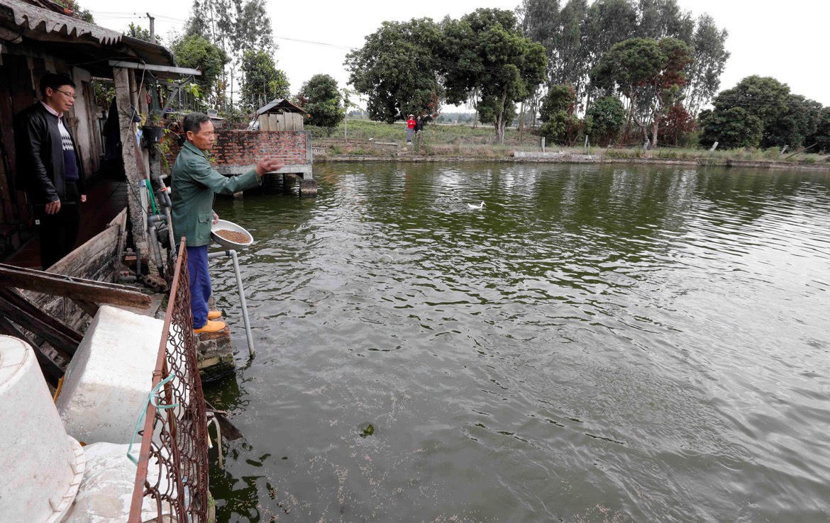 Tín dụng chính sách trở thành 'trợ lực' giảm nghèo bền vững tại Hải Dương 