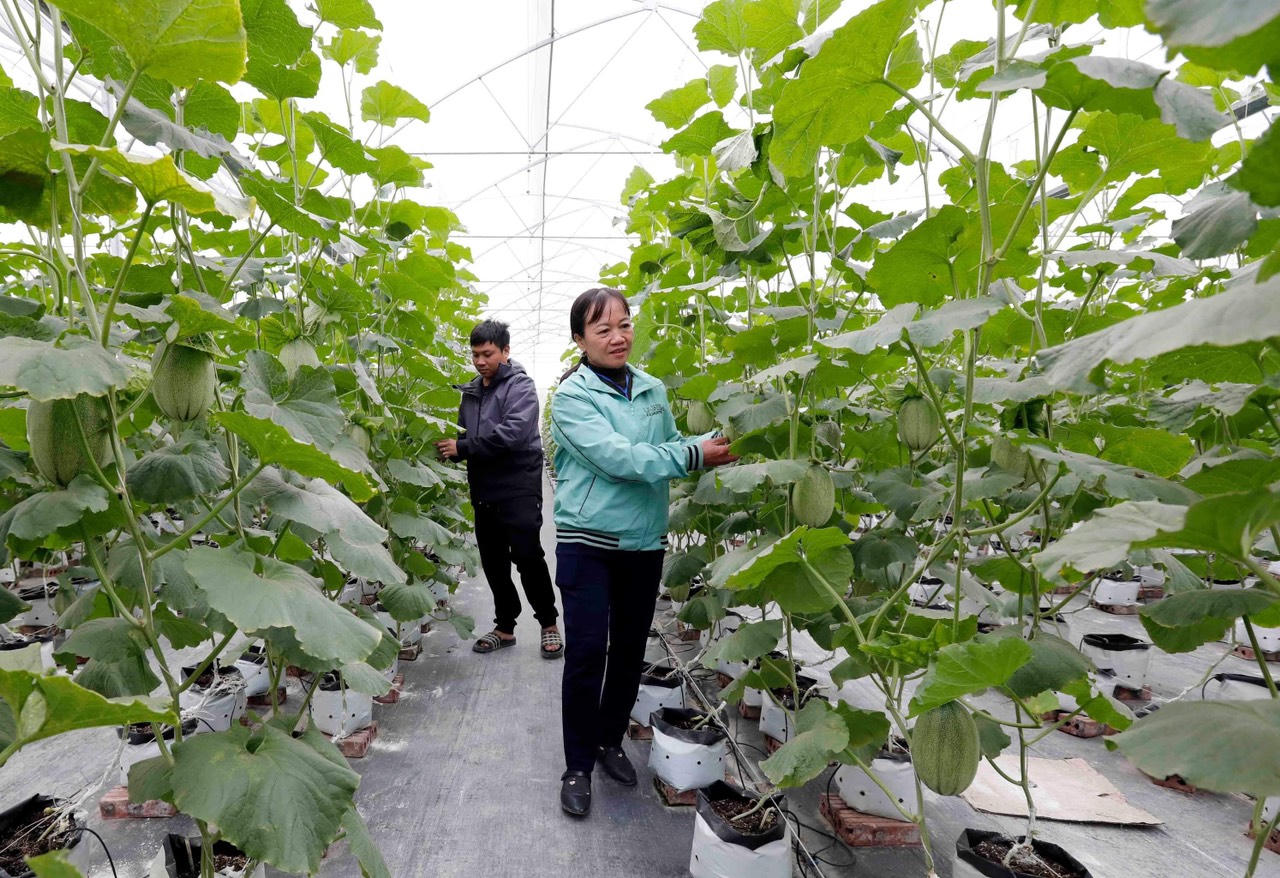 Hiệu quả nguồn vốn tín dụng chính sách ở Nam Định