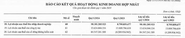 Quý I/2024, Tập đoàn Bamboo Capital ghi nhận doanh thu đạt hơn 985 tỷ đồng