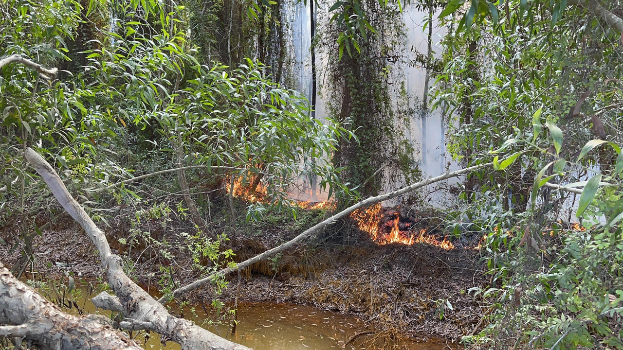 Cháy rừng tràm ở huyện Giang Thành: Chủ tịch tỉnh Kiên Giang yêu cầu tăng cường PCCC rừng