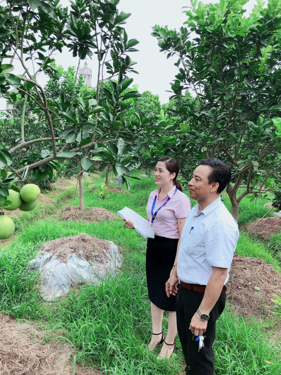 Tín dụng chính sách - Giải pháp phát triển nông nghiệp, nông thôn ở Hưng Yên