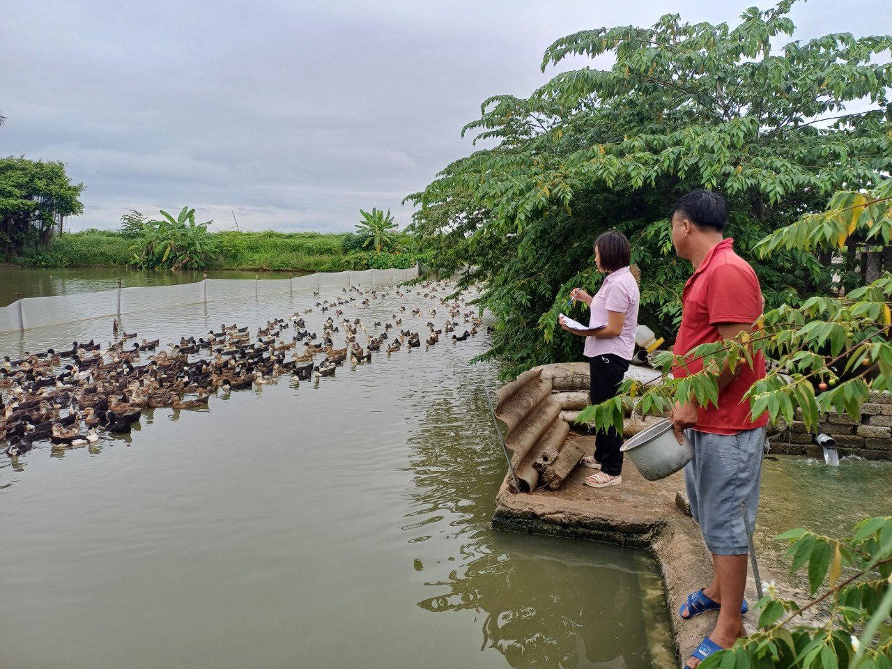 Vốn chính sách góp sức đổi thay diện mạo vùng quê Nghệ An