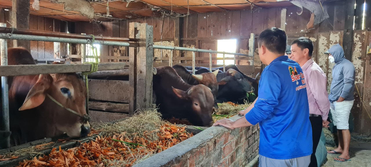 Lâm Đồng giảm nghèo đa chiều bền vững từ tín dụng chính sách