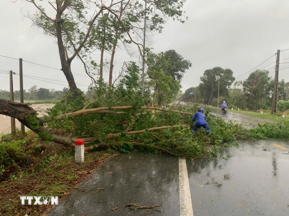 Đề nghị truy tặng Huy hiệu Tuổi trẻ dũng cảm cho quân nhân hy sinh khi chống bão