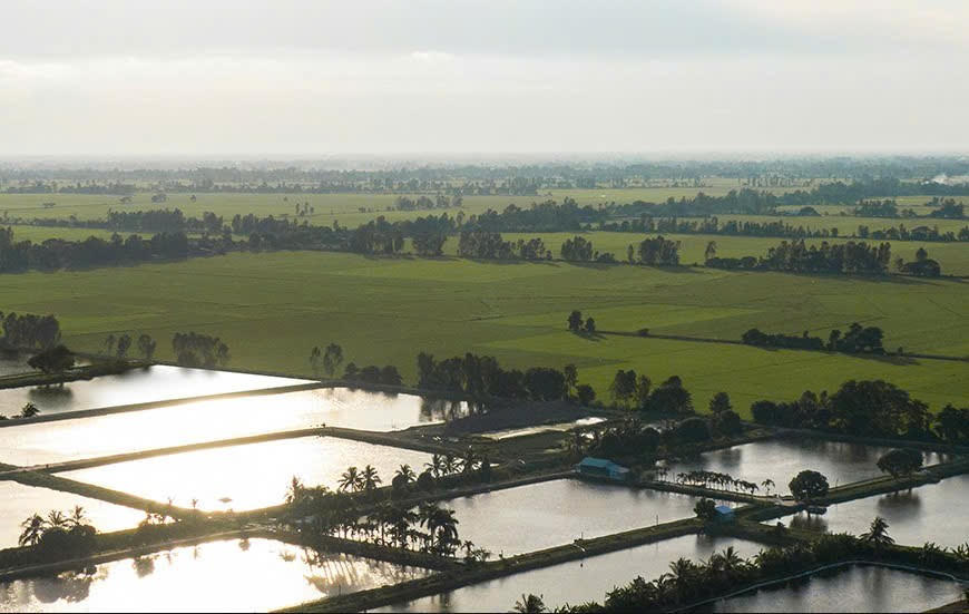 Lễ Công bố IDI phát hành thành công trái phiếu xanh thủy sản đầu tiên ở Châu Á - Thái Bình Dương 