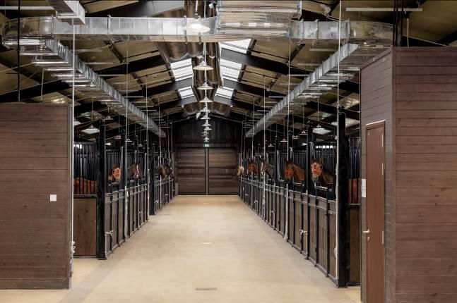 Cưỡi ngựa - Thú chơi quý tộc mới của giới nhà giàu Việt Nam